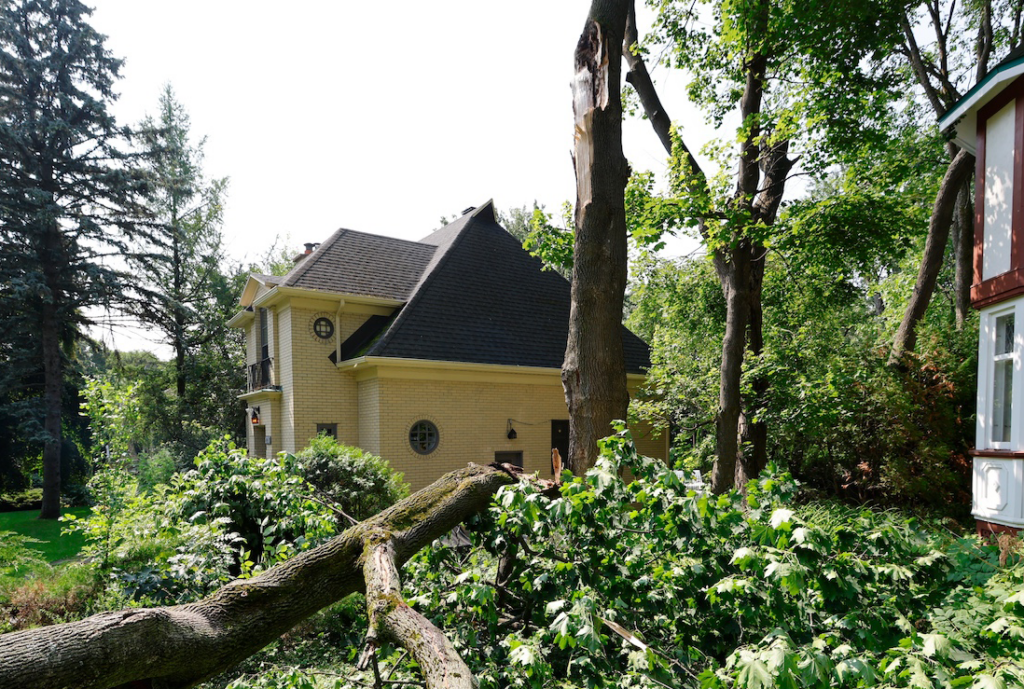 Tree and Debris Removal Charleston, SC