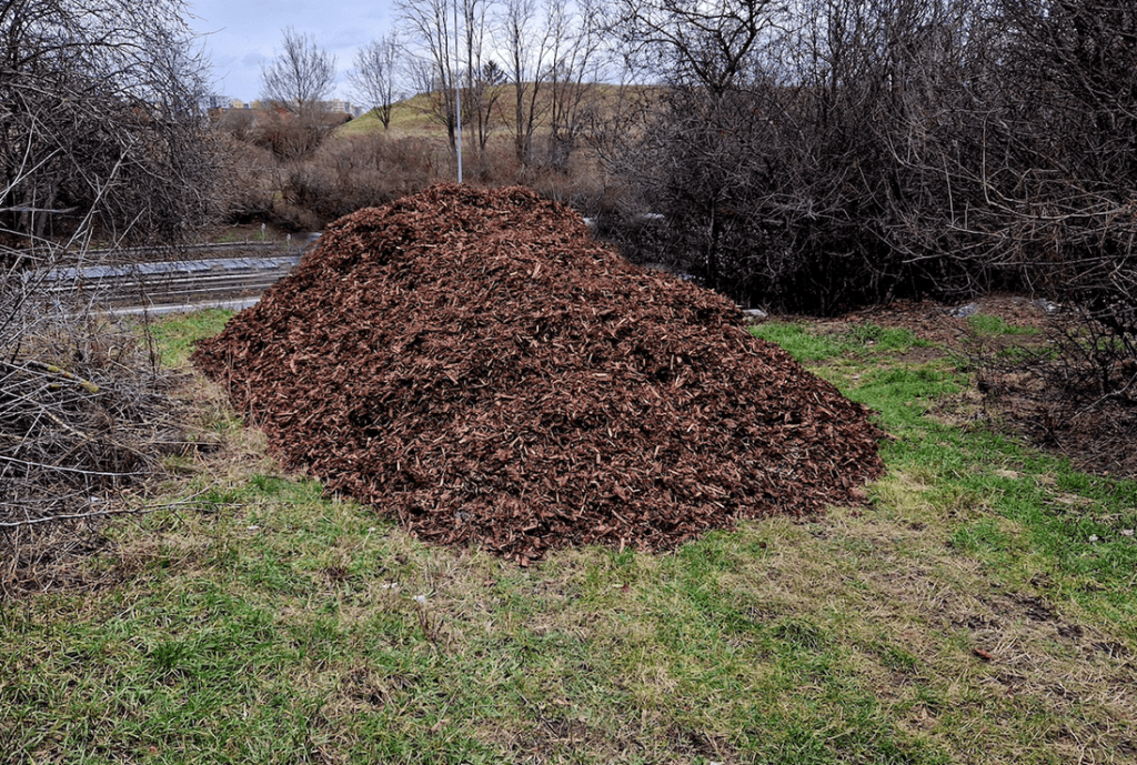 Mulch and Dirt Removal