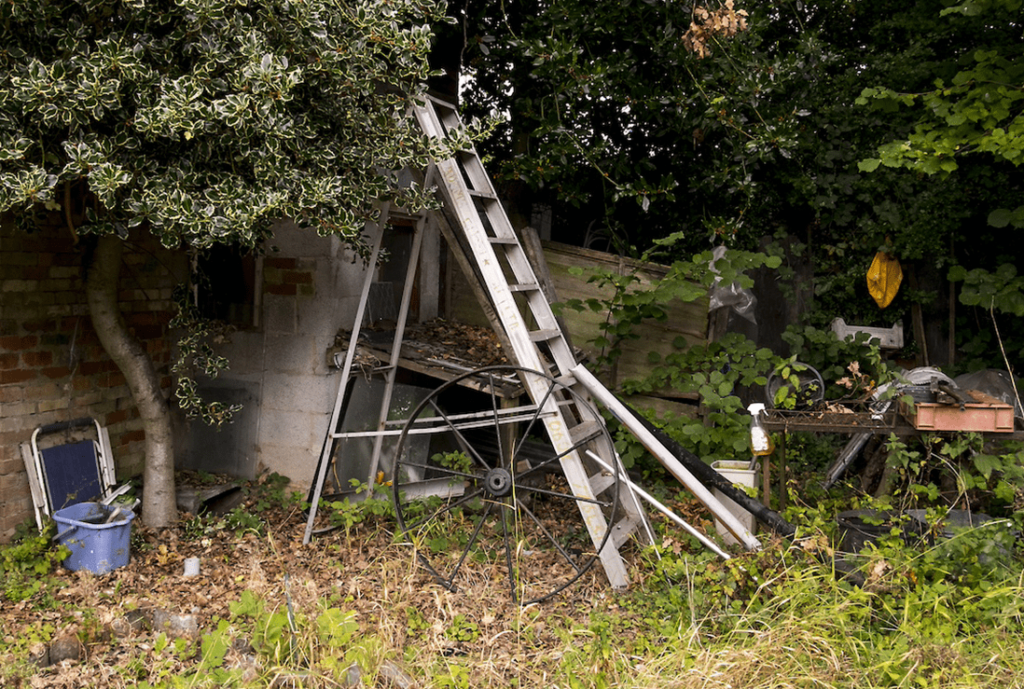 Yard Clutter Removal