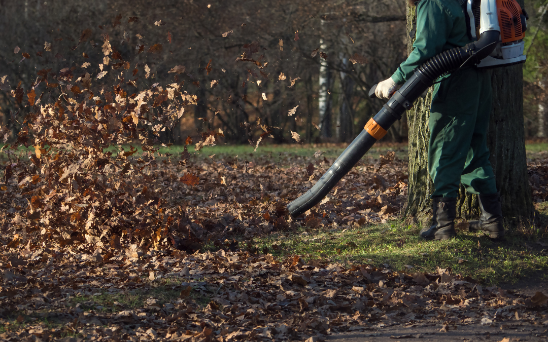 Bulk Leaf & Pine Needle Removal (2) Yard Clutter Removal