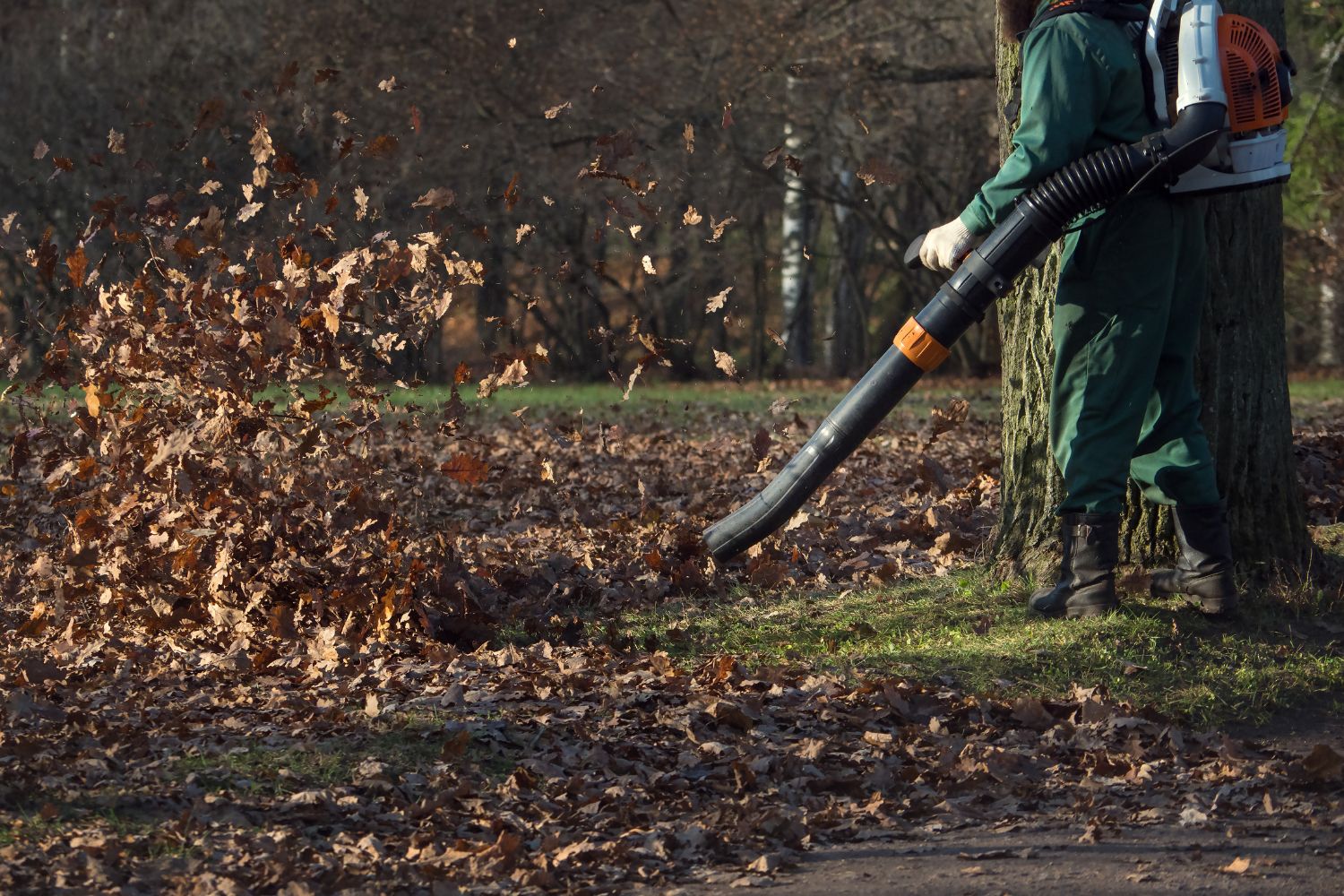 Mulch and Dirt Removal