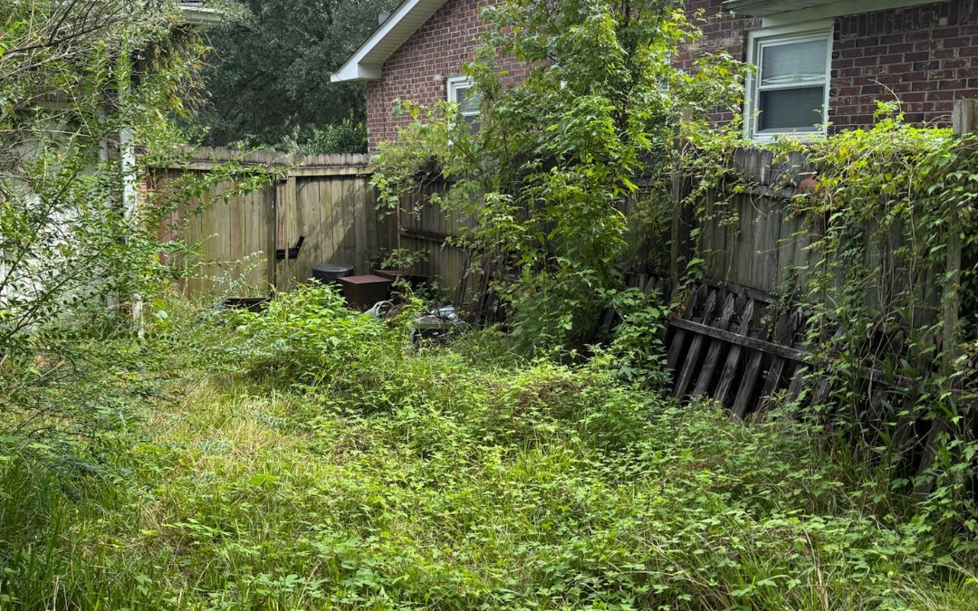 Yard Clutter Removal