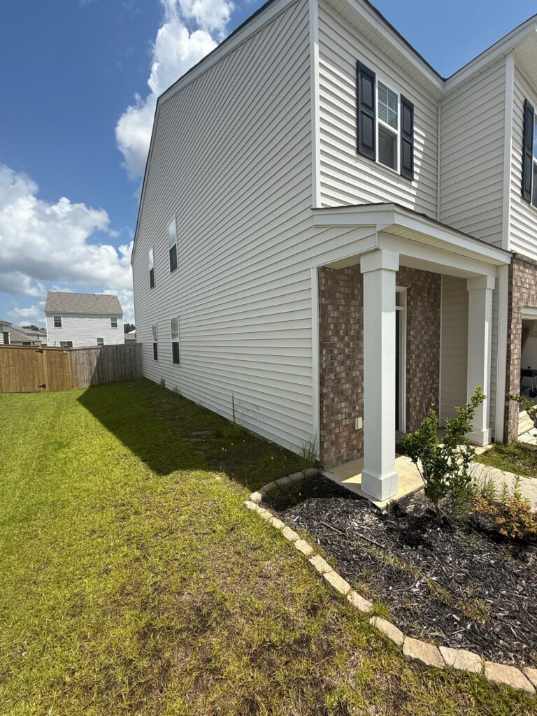 Overgrown backyard before yard cleanup and landscape restoration